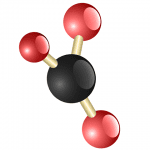 טל לוי - קופירייטר